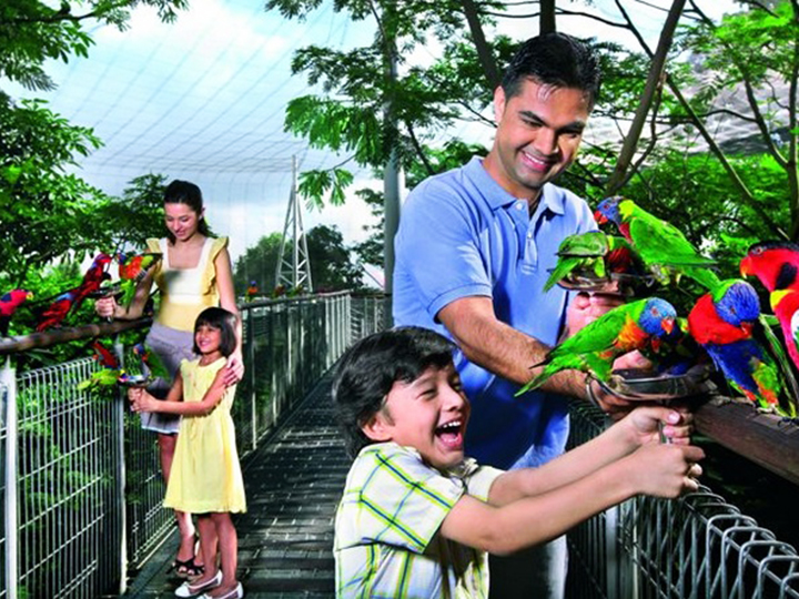 Vé tham quan Singapore vườn chim Jurong